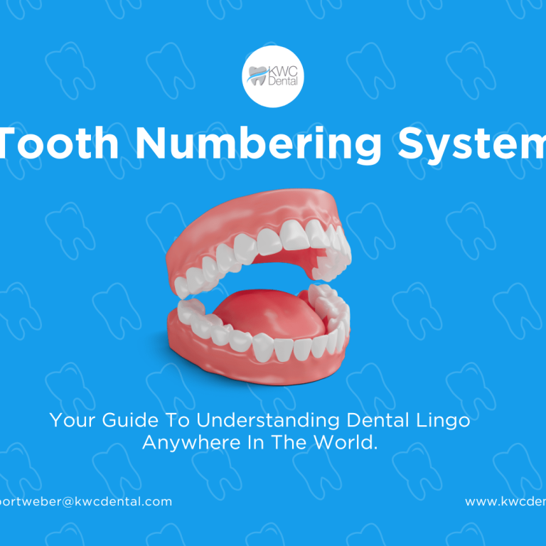 teeth-model